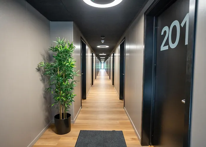 Hotel Myhotel *
